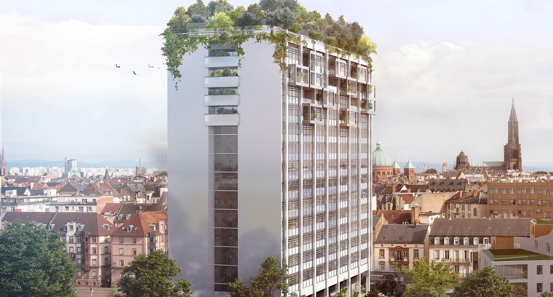 Programme Neuf STRASBOURG LA CANOPÉE Edifipierre